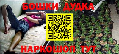 гидра Кимры