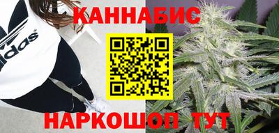 гидра Кимры