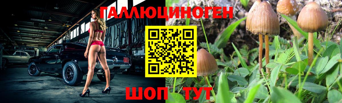Псилоцибиновые грибы MAGIC MUSHROOMS  Галлюциногенные грибы GOLDEN TEACHER  Вход с VPN  Шатура 